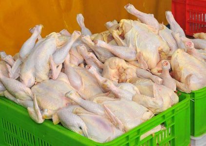 کاهش  قیمت مرغ در مازندران
