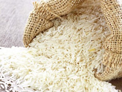 رونمایی از دو رقم جدید برنج در رشت