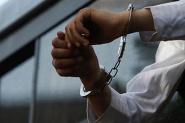مدیرعامل متواری «سکه ثامن» دستگیر شد
