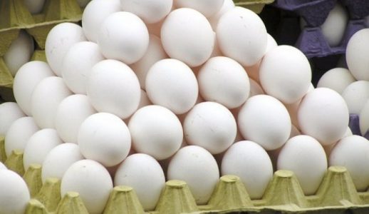 صادرات تخم‌مرغ آزاد شد