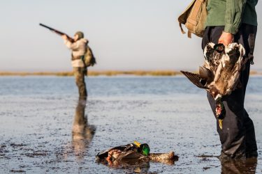 دستگیری شکارچیان غیرمجاز در منطقه حفاظت شده البرز مرکزی