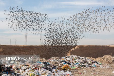 محل جدید دفن زباله درمنطقه “شوکاشور” آمل منتفی شد