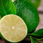 مجوز ایجاد 90 هکتار کشت گلخانه ای لیمو ترش صادر شد