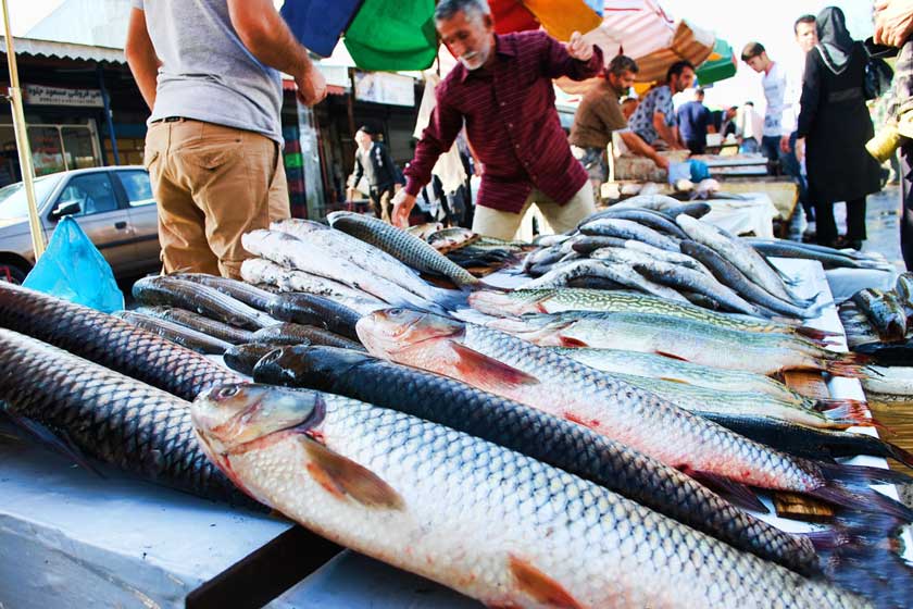 نظارت بر ماهی فروشان آستارا