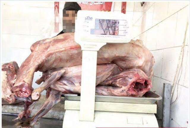 فروش گوشت سگ در قصابی