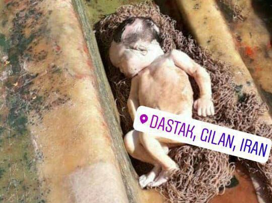 ماهیگیر گیلانی جسد نوزاد صید کرد +عکس 14+