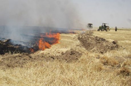 آتش سوزی در مراتع و محوطه قبرستان تاریخی خالدنبی
