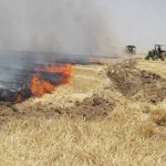 بیش از ۳ هکتار عرصه های جنگلی غرب مازندران در آتش سوخت