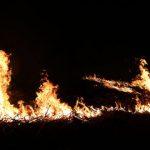 ۲ هکتار از مراتع و جنگل‌های نکا در آتش سوخت
