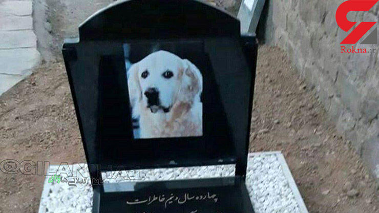 خاکسپاری یک سگ در مسجد سنگر رشت ! + عکس
