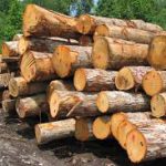 کشف ۱۲۹ تن چوب آلات صنعتی و هیزمی در آمل