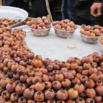 آغاز برداشت ازگیل در آستارا