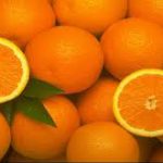 بازار پرتقال همچنان در رکود