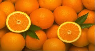 بازار پرتقال همچنان در رکود