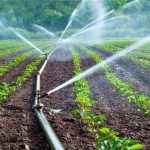کاهش ۳۰ درصدی بارش‌ مزارع گلستان را نیازمند آبیاری کرد