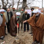 کاشت ۴۰۰ اصله نهال صنوبر در بقاع متبرکه نکا