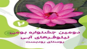 جشنواره گل‌های نیلوفری در بابلسر