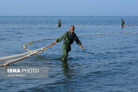 صید ۳۰۰ تن ماهی از دریای مازندران