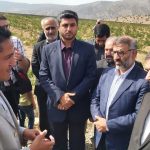 استاندارمازندران: تعاونی کشاورزی کشت گل محمدی تشکیل شود