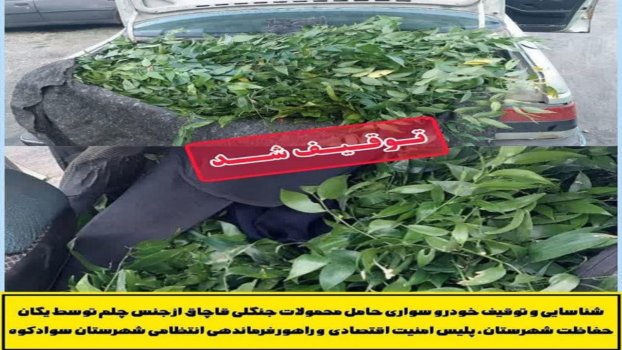 توقیف خودروی حامل چلم از مبدا استان گلستان