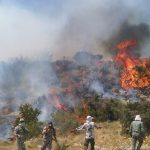 آتش سوزی بخشی از جنگل های نوشهر خاموش شد