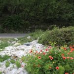 زباله میراث گردشگران در مازندران