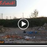 رها سازی پرتغالهای شب عید در رودخانه تلار