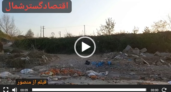 رها سازی پرتغالهای شب عید در رودخانه تلار