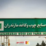 فرمان قتل ۳۰۳هکتار از جنگلهای هیرکانی شایعه یا واقعیت؟