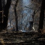 گردشگری غیرمسئولانه