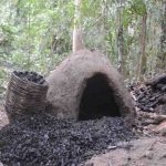 کشف ۲ تن زغال از کوره‌های غیرمجاز جنگل‌های نکا